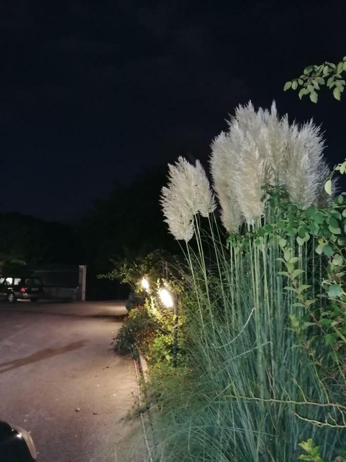 Le Stanze Di Bacco Cagnano Amiterno Exterior foto
